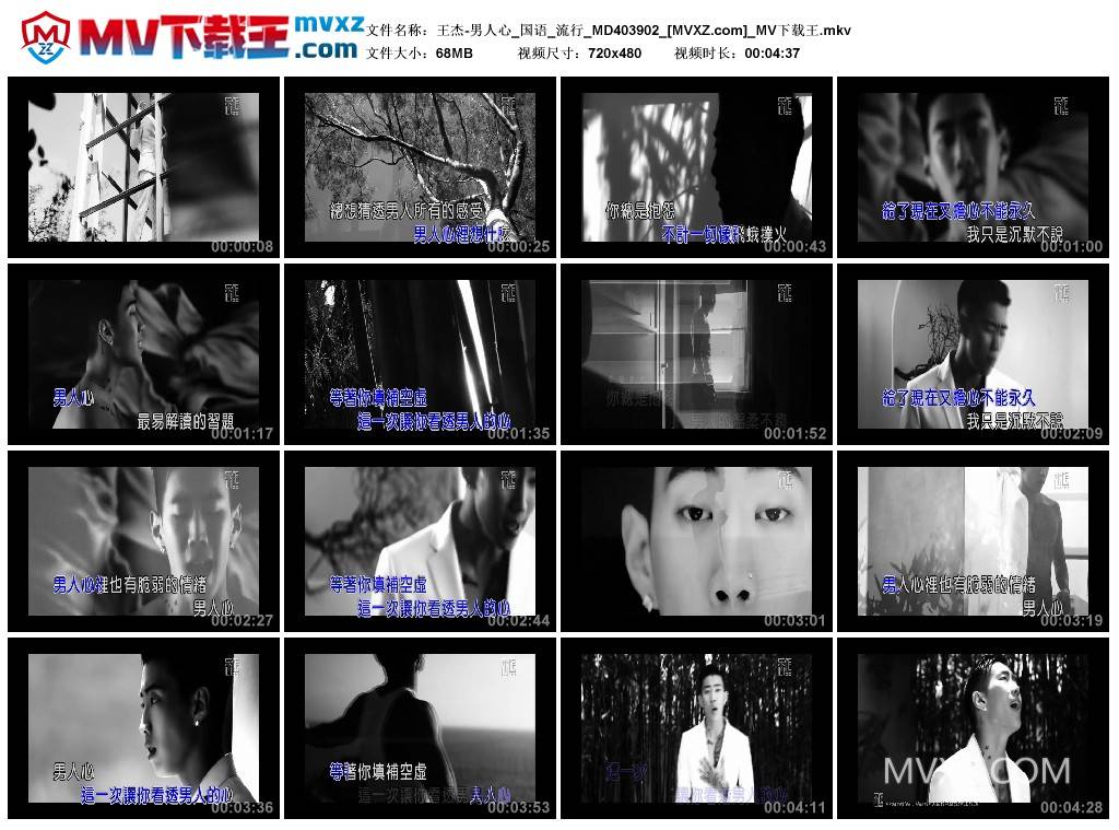 王杰-男人心_国语_流行_MD403902